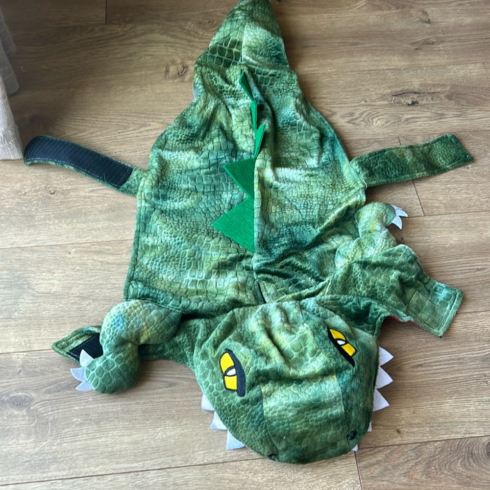 Dog green dinosaur costume, size large